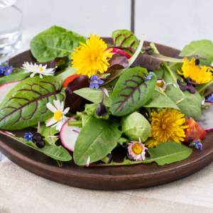 Frühlingssalat mit Löwenzahn